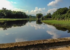 Bosque da Barra (normal)