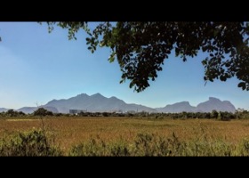 Bosque da Barra View