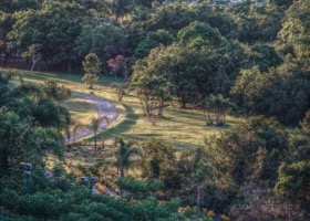 Distant Garden
