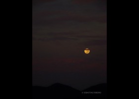 Noonset