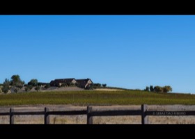 Wine Farm