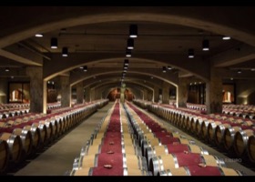 Winery Barrels